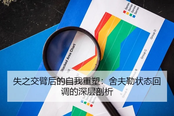失之交臂后的自我重塑：舍夫勒状态回调的深层剖析